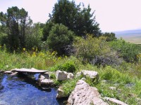 Waterfall Pond